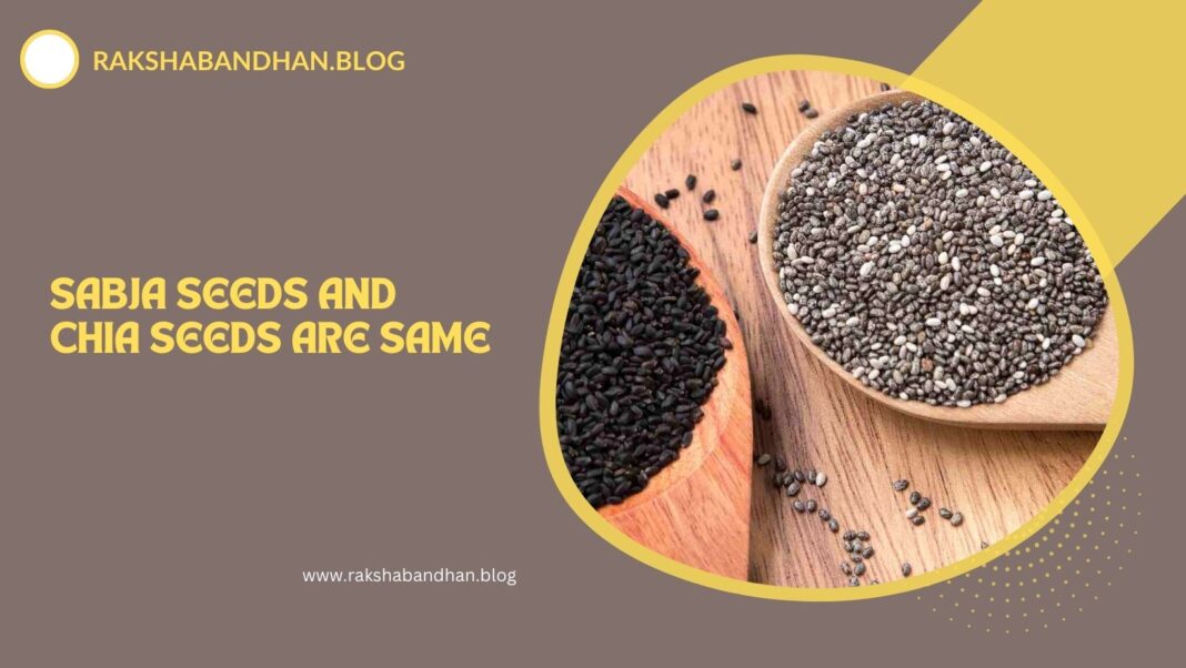 Sabja Seeds And Chia Seeds Are Same (Chia Seeds And Sabja Seeds Are Same)