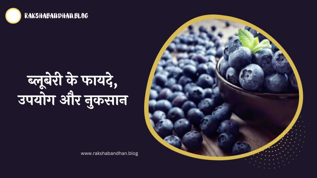 ब्लूबेरी के फायदे, नुकसान और उपयोग - What Is Blueberry in Hindi